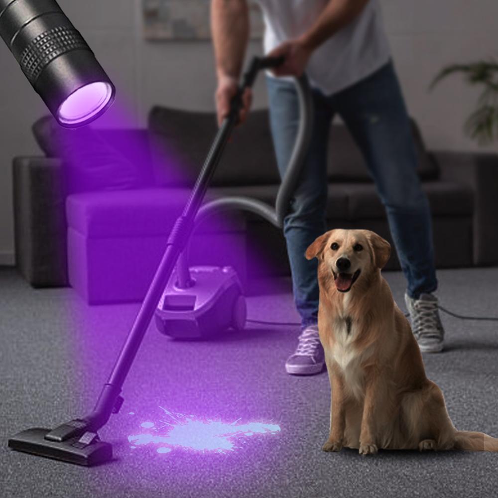 1-5PCS Mini LED Light Penlight Flashlight White/Purple Torch Pen Light with Clip Torch Lamp Batteries Not Included