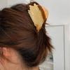 Korean Style Acetic Acid Hair Claw Waterproof Acrylic Hair Accessories Fruit Shark Clip  Spring