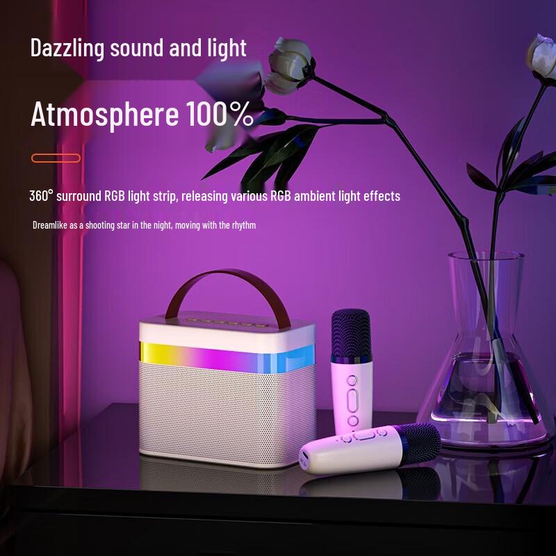 Newmine DP99 Wireless KTV Microphone Speaker System