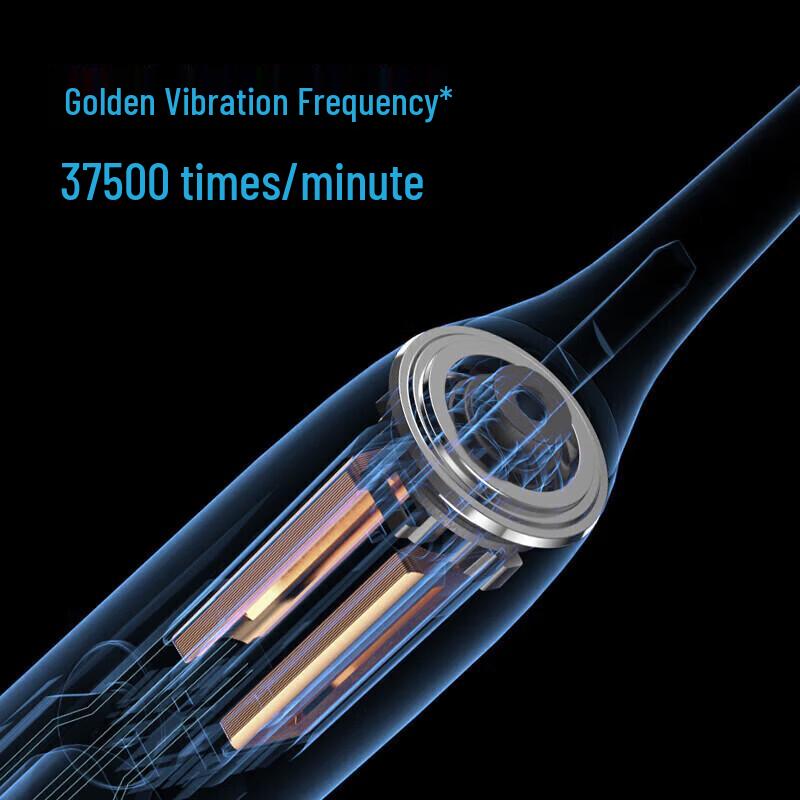 Flyco FT7105 Sonic Electric Toothbrush