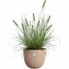 Plant Pot Sereh Rond 40 Brown 39 X 33 Cm
