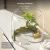 2Piece Turtle enclosure, PET Fish Desktop amphibian Habitat, High Transparency Jumbo