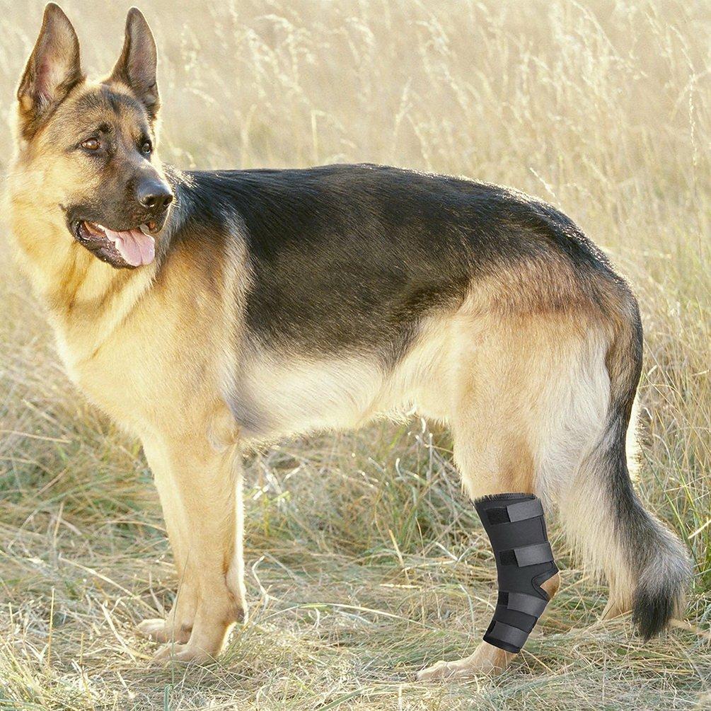 Hunde-Rehabilitation Knöchel- und Gelenkunterstützung für und Große Hunde 3 Farben Größe Ideal für Senioren-Hundebedarf Klein, Mittel, (Hinterbeine). Verstellbar,