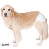 Petio Always Disposable Diaper for Small Dogs M Size