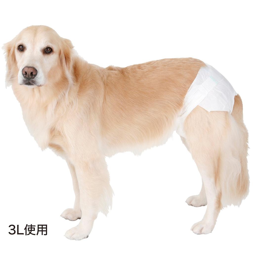 Petio Always Disposable Diaper for Small Dogs M Size