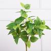 Feel simulation Begonia leaf handle bundle chicken heart leaf watermelon leaf single plant wall leaf green leaf