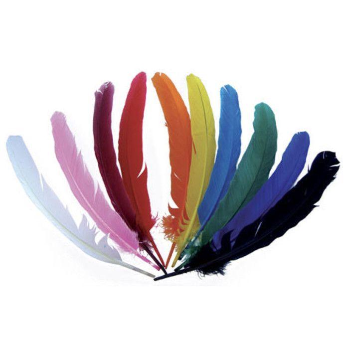 Plumes d'indien pour activités manuelles enfant Assortiment 10 pièces