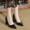 Plus Size High Heels Women Kitten Heel 2026 New Autumn Pointed Toe Block Heel Single Shoes