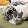 Stuffed Soft Animal Cute Little Spider Baby Plushies Toy Cartoon Animal Movie Peripheral Doll Decora Game Room Birthday Gift