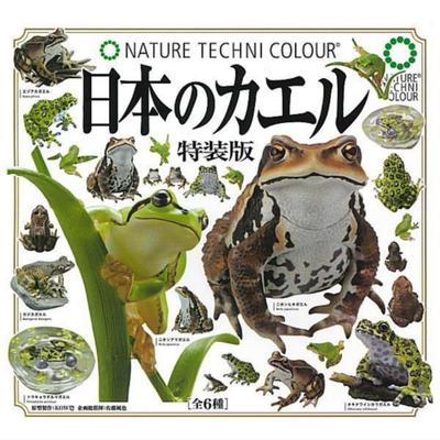 Ikimon Japanese Frogs Complete Set 6 Gachapon Capsule Toys Nature Technicolor