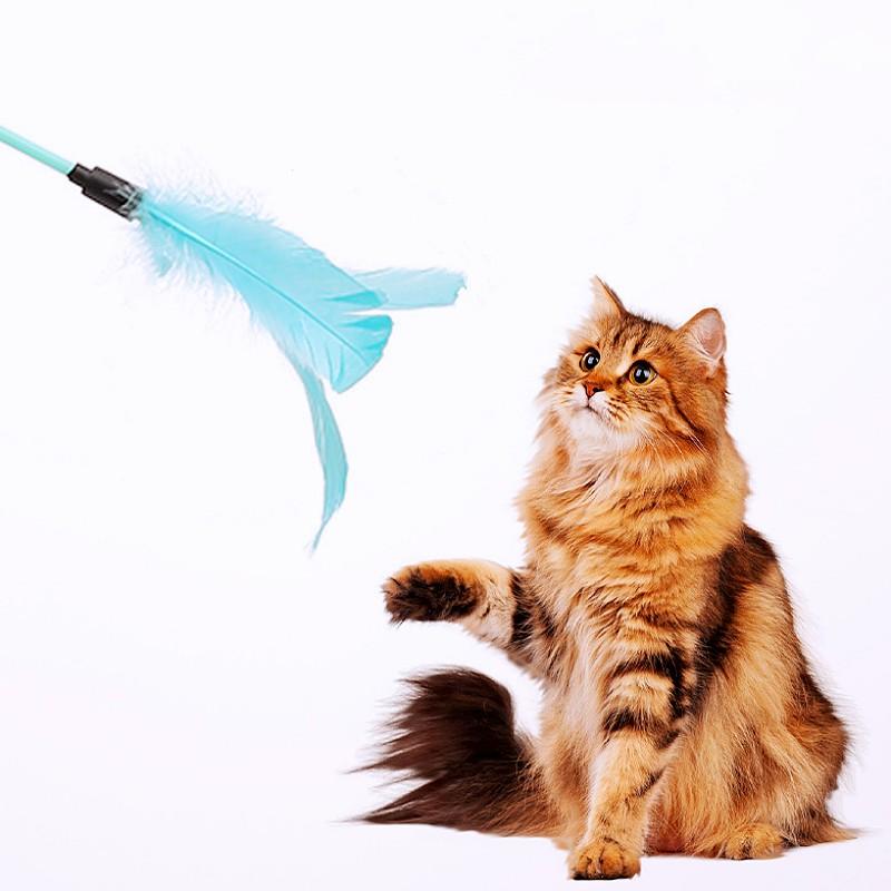 Cat Toy Feather Cats Teaser Stick Set Long Handle Cat Toys 5PCS Feather Sticks Bite-resistant Cats Toys with Bell Pet Products