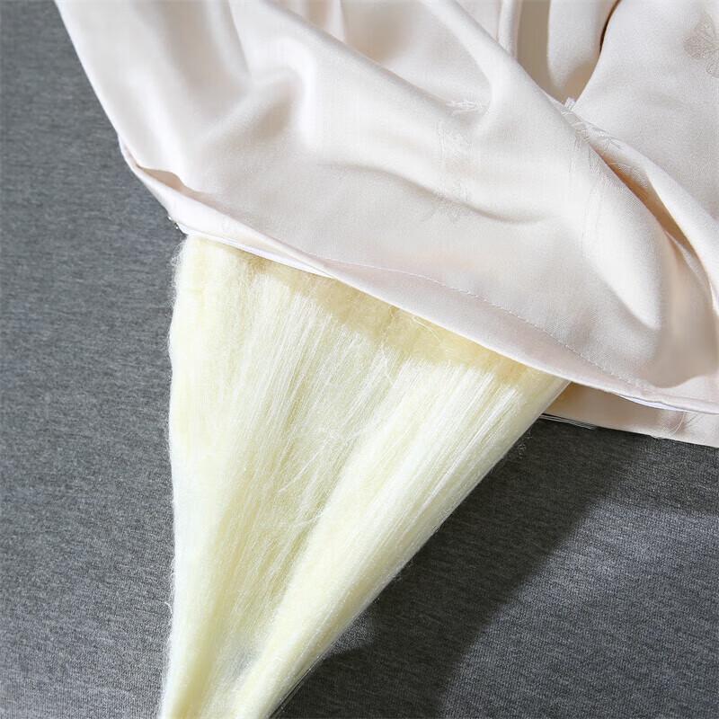 Youmeng Jiaju Silk Summer Quilt