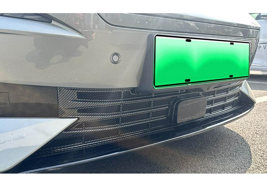 Tengshi Z9GT Front Grille Anti-Insect Net: Snap-On Radiator, Mosquito, and Fluff Protection; No Disassembly Needed