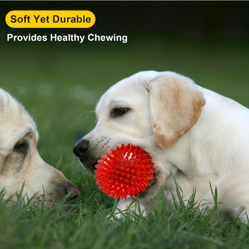 6 palline giocattolo resistenti per cani: Palline squittenti per la pulizia dei denti, il digrignamento e l'addestramento - Sicure per cani di piccola taglia e senza BPA, giocattoli per animali domestici