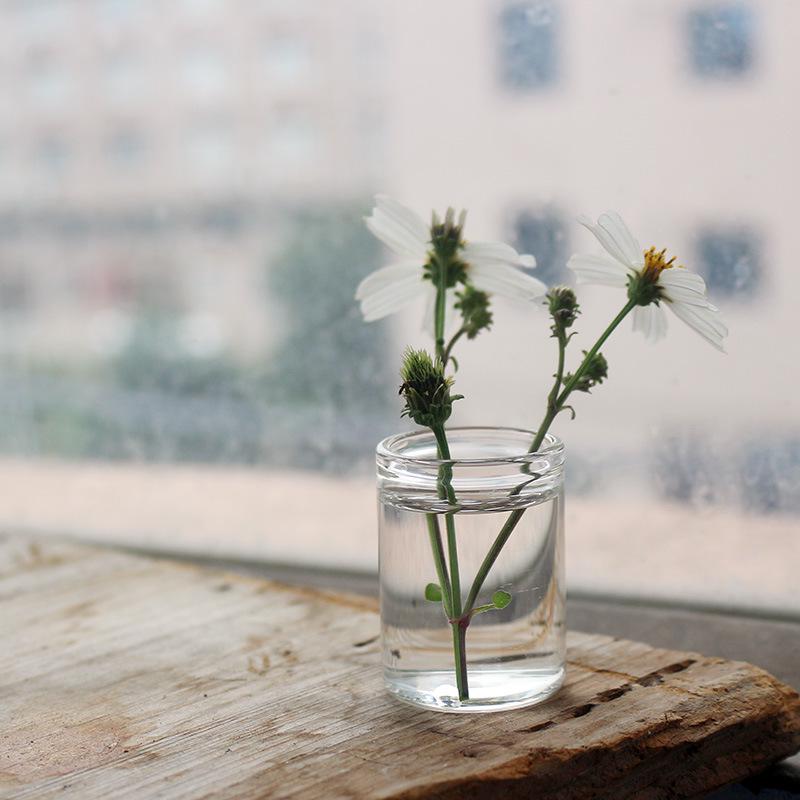 Charming Small Glass Cork Bottle for Seashells or Feather Collections