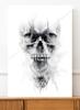 Poster Skull Sketch