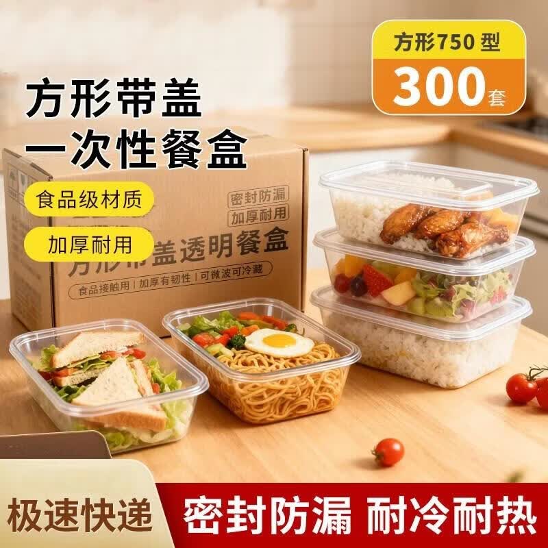 HANDUNYOU Disposable Divided Meal Box