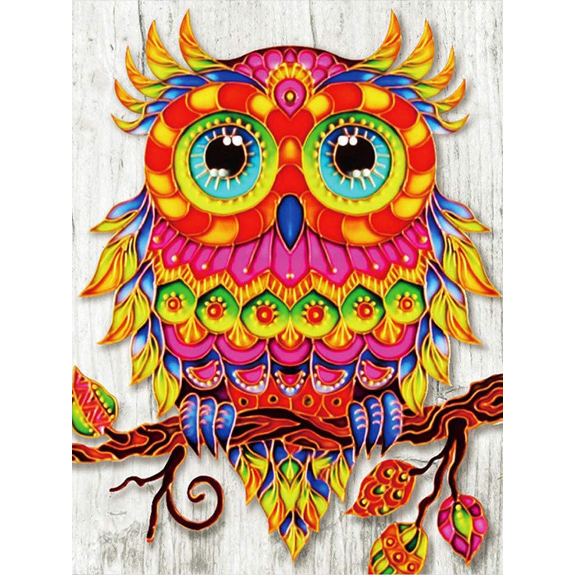 

Huacan DIY 5D Full Drill Diamond Painting Kit для взрослых Горный хрусталь Мозаика Искусство Домашний декор Цвет Сова