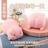 Cute Flour Dog Pig Squeeze Toy Stress Reliever Slow Rising Vent Toy