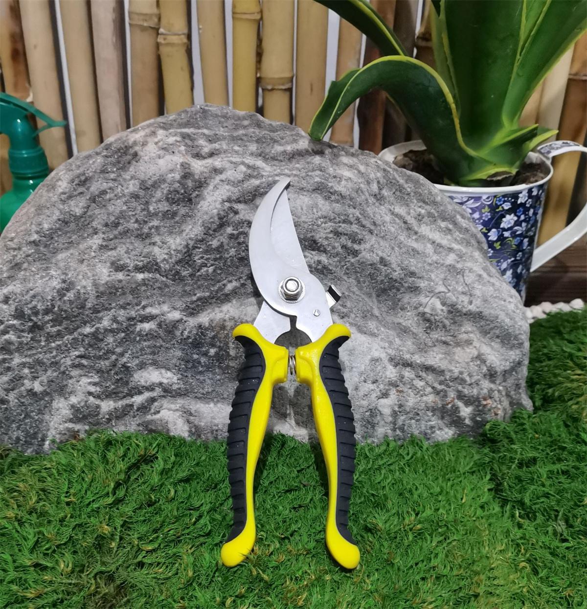 

Professional Gardening Shears Pruning branches Fruit trees Flowers Household Pruning Tools Shears Weeding Digging Garden Tools