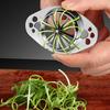 Scallion Cutting Tool 304 Stainless Steel Green Onion Slicer Easy Operation Multi-functional Vegetable Cutter for Celery Peppers Dishwasher Safe