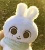[USED] SEVENTEEN Jeonghan Plush Doll 10cm