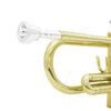 SLADE Brass Bb Trumpet Kit for Professional Beginner