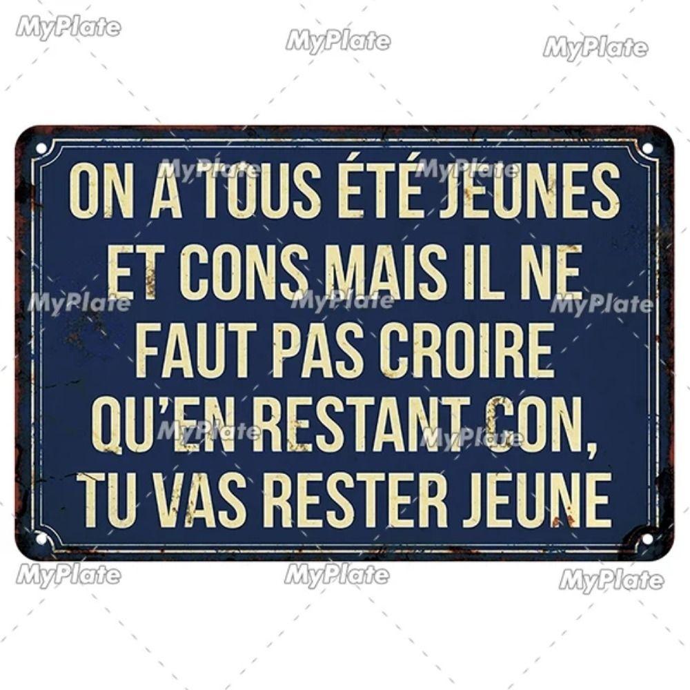 Vintage Metal Sign with Famous French Proverbs Iron Plate Retro Home Decor Gift