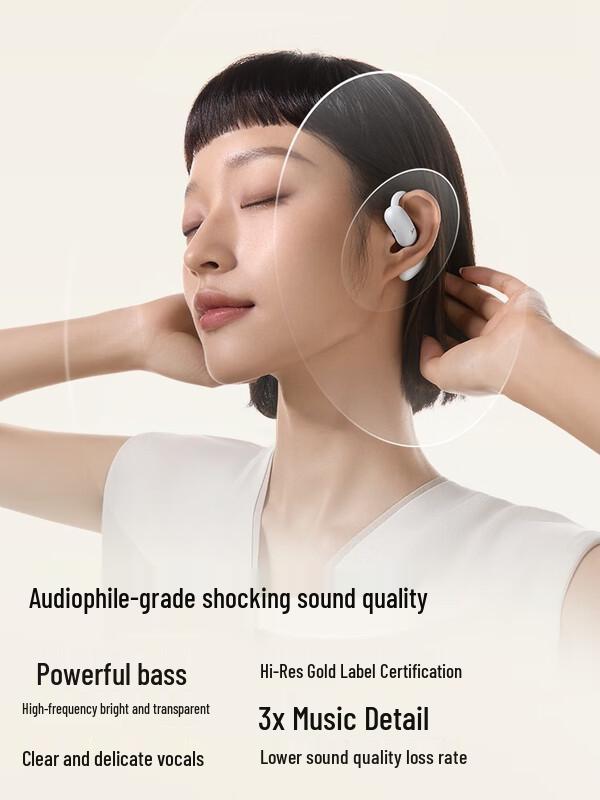 

SoundCore Fly Leap Air Sport Bluetooth Earphones