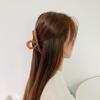 Lenaine Plain Hair 6 Color Women's Glossy Hair Clip