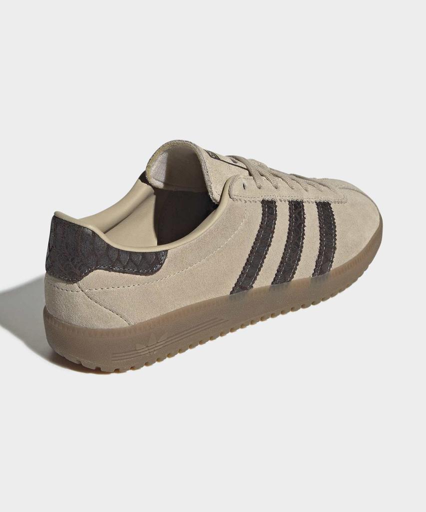 adidas Bermuda - Stone Khaki: Aura Coffee / Ih4183