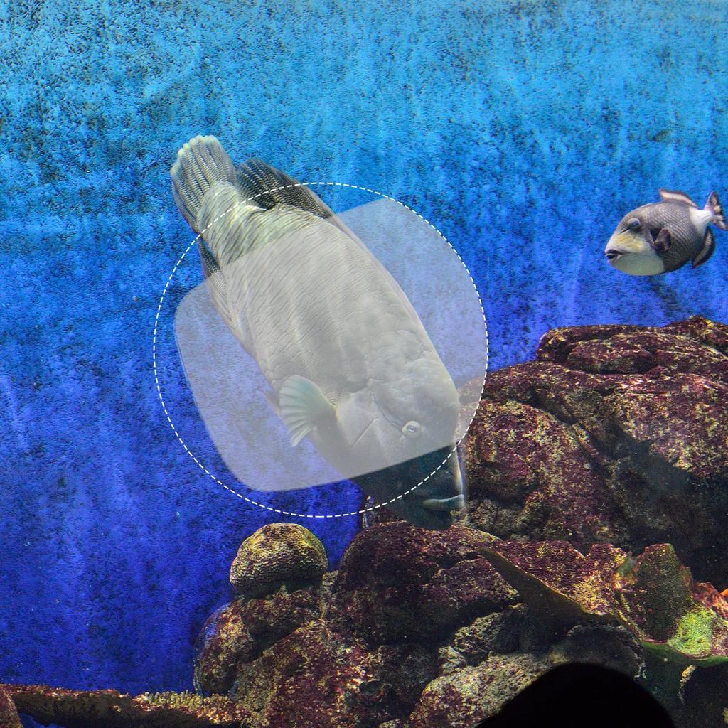 Polarisierte 3D-Clip-on-Brille, passiver kreisförmiger 3D-Brillenrahmen für Anaglyphenfilme, Kino, Spiele, TV, Fotoprojektoren, 100 Stück