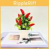 Decorațiuni pentru casă – Accesorii pentru decor