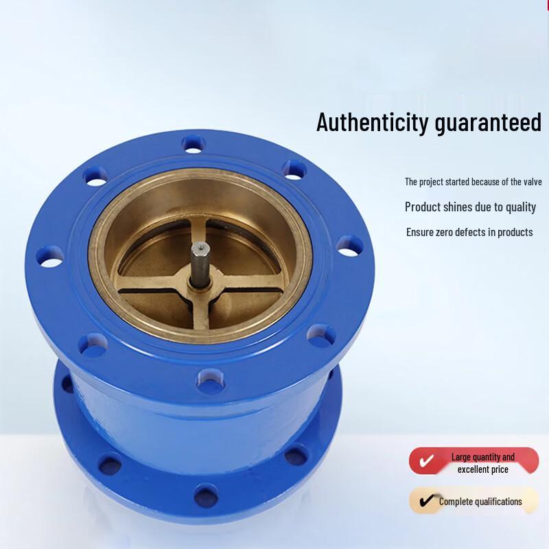 Silent Flange Check Valve
