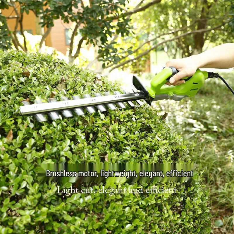 Greenworks 40V Cordless Dual-Blade Hedge Trimmer CN plug (adapter included)