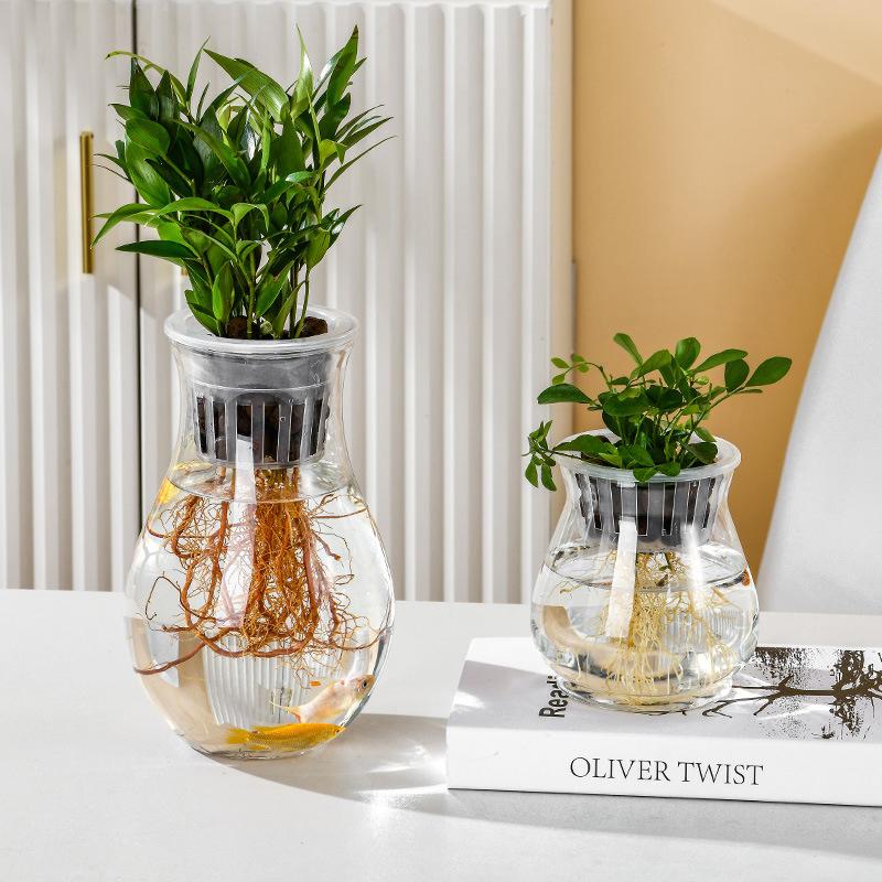 Mini Hydroponic Flower Pot Fish Tank Transparent Plastic Soilless Plant Pots Self Watering Planter Pot Vase Home Decoration