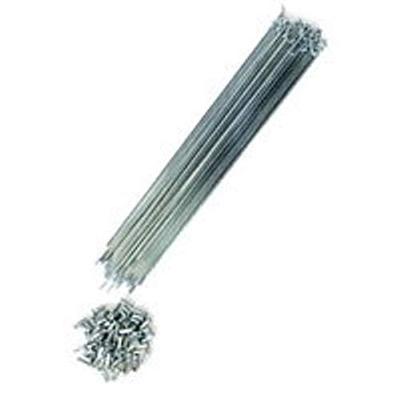 Shikishima Speiche 282mm 36 Stück CP mit Nippel #14