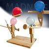 Fencing 2 Balloon Players Fast Wooden Inflatable Fighter Wooden Balloon Paced for Battle Battle Head Game Handmade Puppet