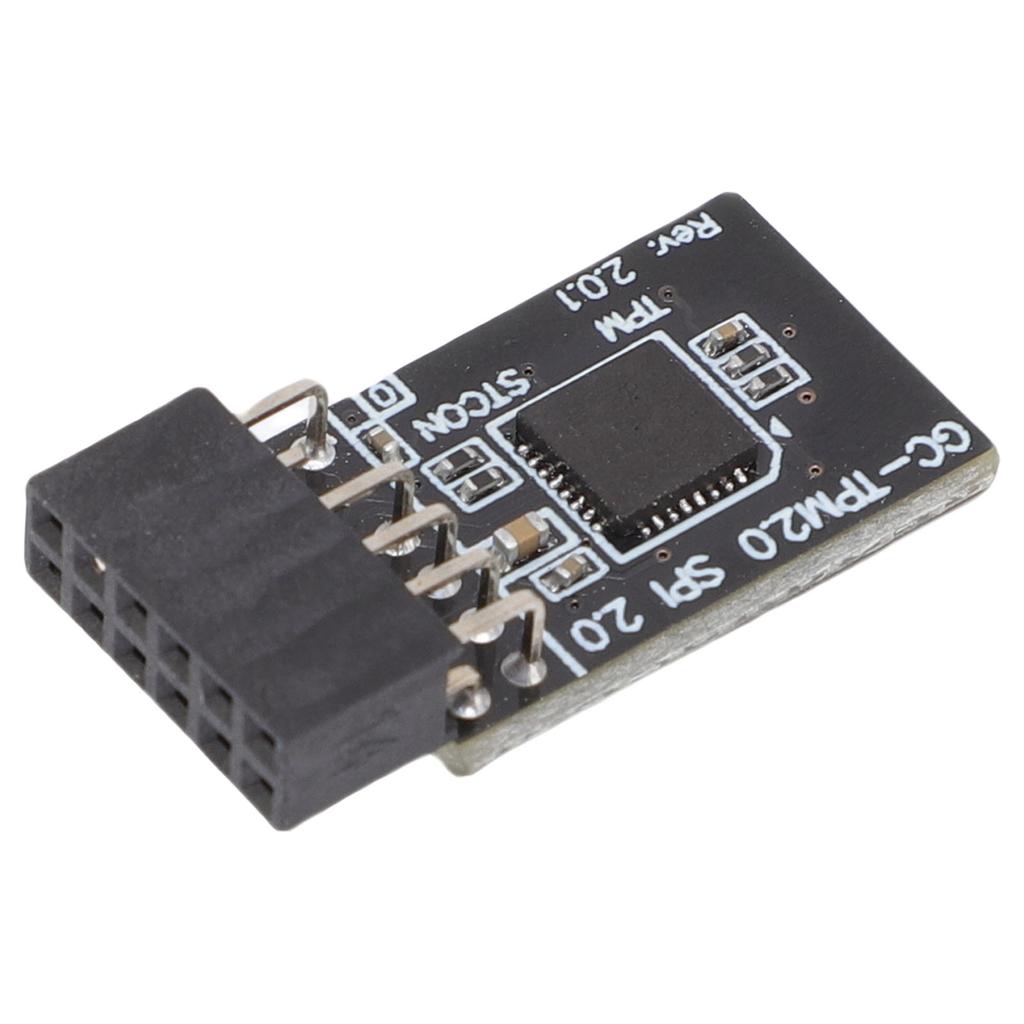 TPM 2.0 Sicherheitsmodul 12-1 Pin Remote Boards Sicherheitsmodul Motherboard SPI Bus Schnittstelle 2,54 mm Abstand