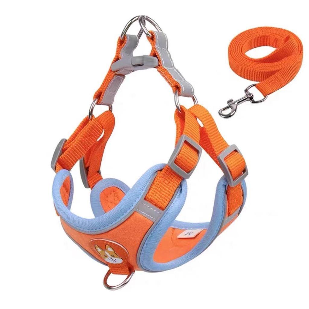 3D-Cartoon-Haustierweste und Leinen-Set für Hunde und Katzen – ausbruchsicheres Geschirr zum Spazierengehen