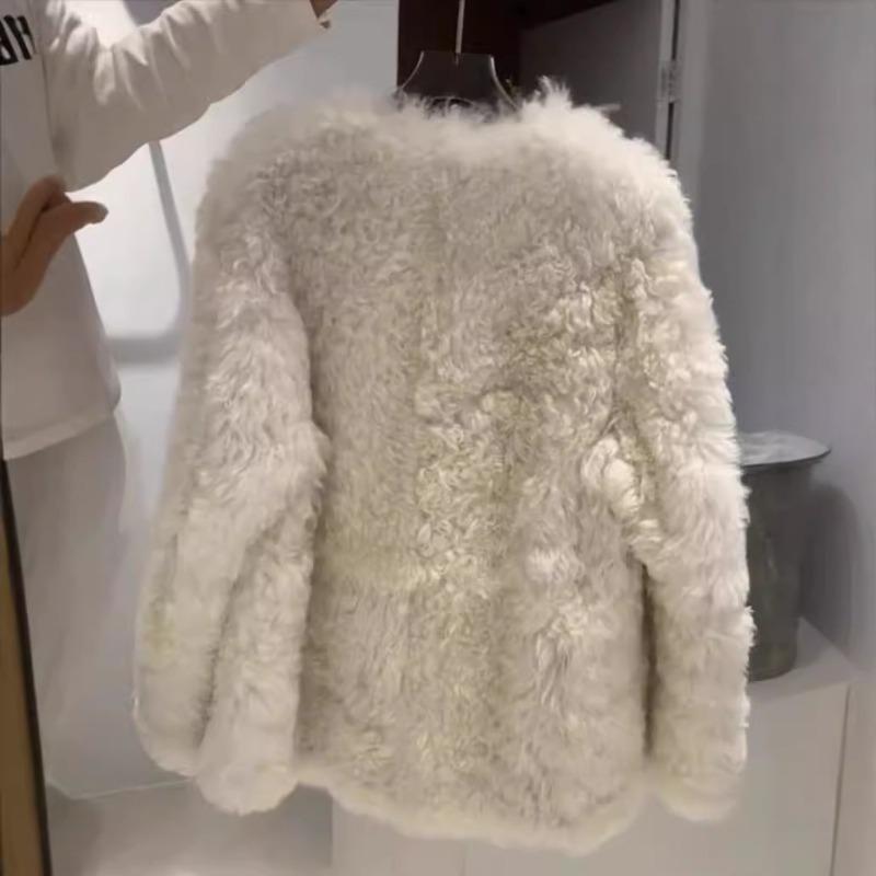Autumn and winter new fur integrated lamb plush imitation fur coat women's coat short curly top