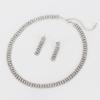Factory Direct Sales Korean Style Exquisite Sweater Chain Rhinestone Necklace Earrings Two-Piece Set Valentine's Day Gift N174
