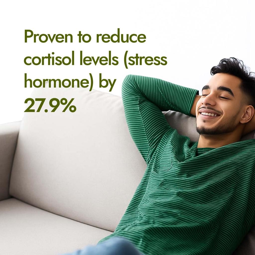 Kapiva KSM-66 Ashwagandha 500mg 60 Veg Capsules | Natural Stress Relief & Vitality Support for Daily Energy