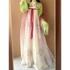 Chinese Tang Dynasty Style Hanfu, One-piece Skirt, Daily Suit For Women