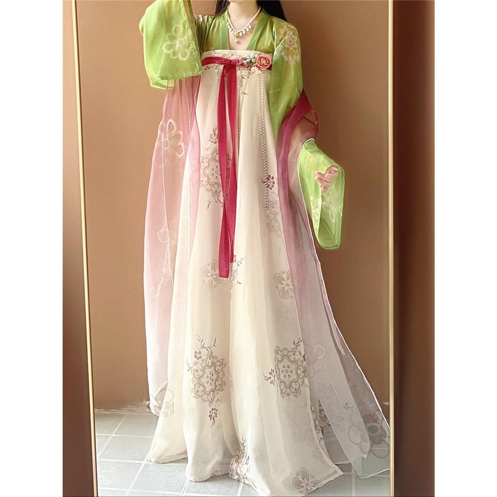 Chinese Tang Dynasty Style Hanfu, One-piece Skirt, Daily Suit For Women