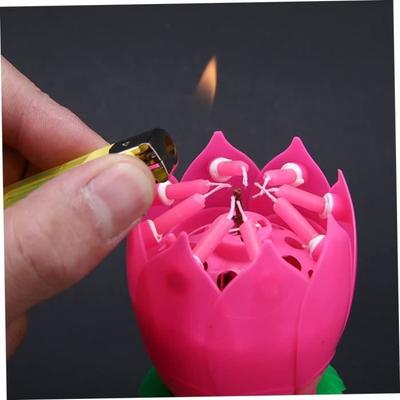 Lotus Geburtstagskerze - Partydekoration - 4 Stück - Musik - Rosa - Innen