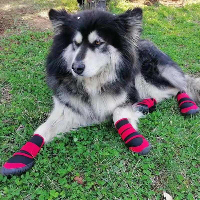 Waterproof Dog Boots Waterproof Dog Socks for wounds Dog Snow Boots Pet Winter Shoes Pet Snow Boots Pet Outdoor Shoes