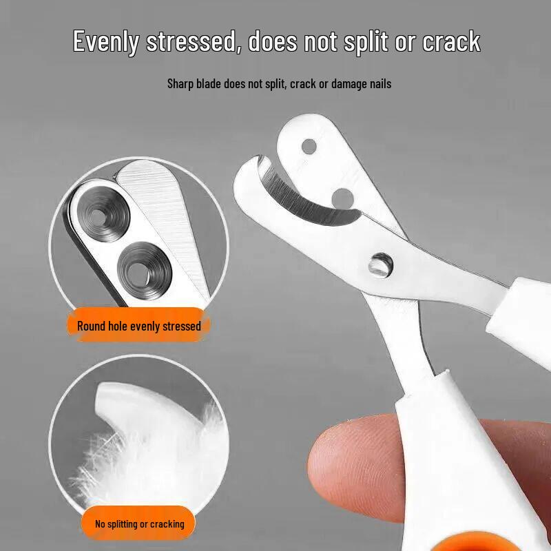 Pet Nail Clippers: Cat Paw Trimmer and Pliers for Small Pets