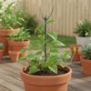 Adjustable Garden Plant Support Stakes Climbing Plant Support Garden Stakes for Climbing & Potted Plants Pothos Flower Vine