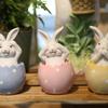 Eggshells Bunnys Easters Decoration Polyresin Rabbit Statue for Home and Farmhouses Spring Decoration